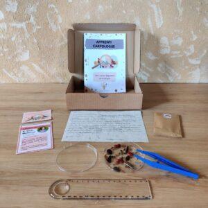 Box n°5: Archéologue de laboratoire